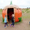The Pumpkin House